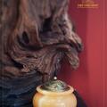 LƯ XÔNG TRẦM NGỌC HOÀNG LONG - THIỆN THÀNH GROUP