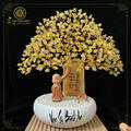 CÂY ĐẠI XOÈ XUM ĐÁ - THIỆN THÀNH GROUP