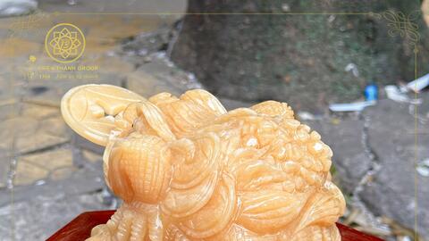 CỤ CÓC THIỀM THỪ VƯỢNG TÀI, HÓA SÁT - THIỆN THÀNH GROUP