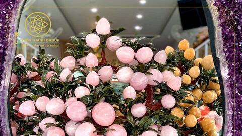 CÂY ĐÀO ĐÁ QUÝ THẠCH ANH HỒNG & CÂY ĐÀO NGỌC HOÀNG LONG - THIỆN THÀNH GROUP