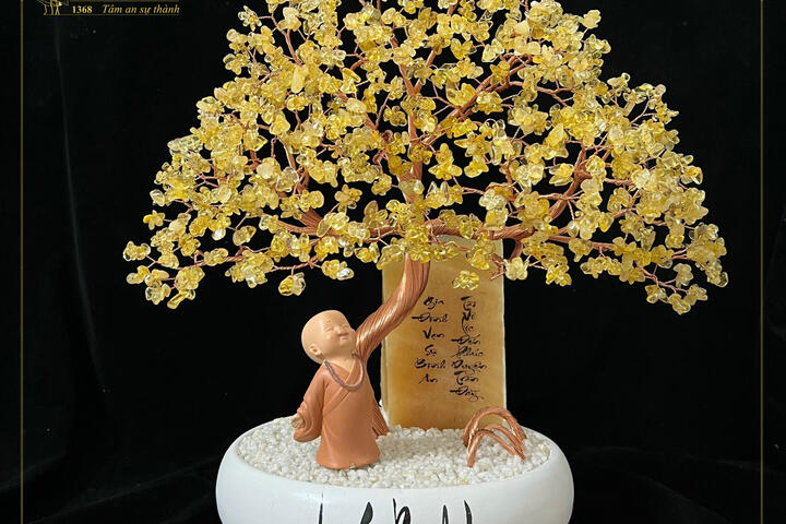 CÂY ĐẠI XOÈ XUM ĐÁ - THIỆN THÀNH GROUP