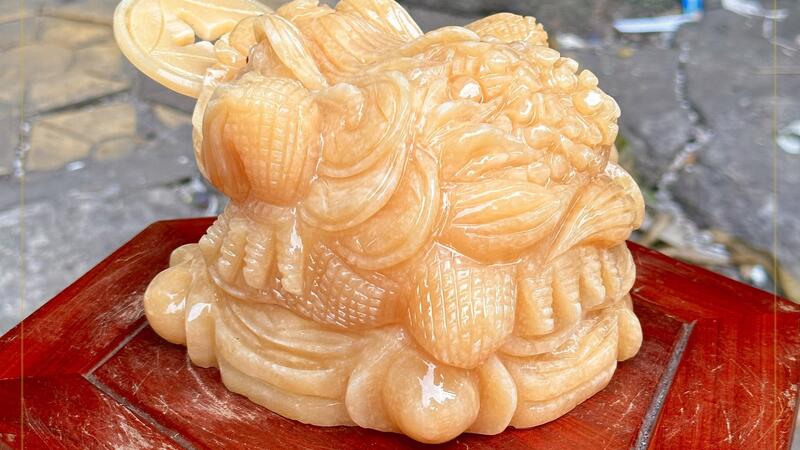 CỤ CÓC THIỀM THỪ VƯỢNG TÀI, HÓA SÁT - THIỆN THÀNH GROUP