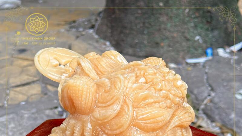 CỤ CÓC THIỀM THỪ VƯỢNG TÀI, HÓA SÁT - THIỆN THÀNH GROUP